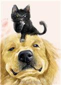 穿成猫后靠玄学爆红无防盗