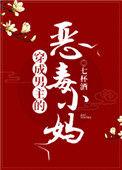 穿成男主的恶毒小妈 原著