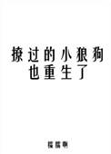 撩过的小狼狗也重生了番外全TXT