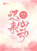 迟来心动txt百度