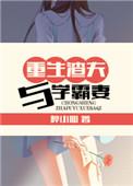 重生渣夫与学霸妻子