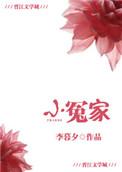 小冤家电视剧