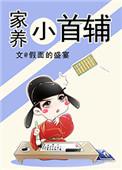 家养小首辅好看
