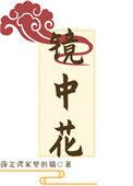 镜中花水中月梦中云