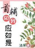 首辅见我应如是格格党