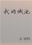 我的城池堡垒免费观看全集