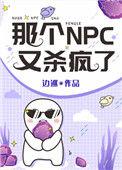 那个npc又杀疯了宝书网