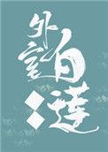 外室白莲手册全文免费阅读