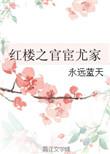 红楼之大官人txt