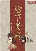 榜下贵婿番外137