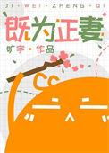 既为正妻主要讲了什么