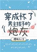 穿成男主怀孕前女友txt