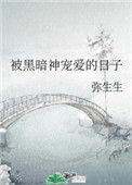 被黑暗神宠爱的日子番外txt