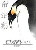帝企鹅在线养鸟 百度