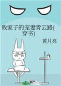 败家子的宠妻青云路全文阅读