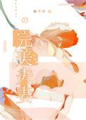 完美夫妻韩剧免费观看