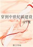 穿到中世纪搞建设by