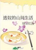 逃奴的山间生活好看吗