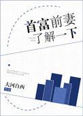 首富前妻了解一下作者大河自西