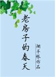 老房子的春天txt云盘