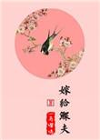 嫁给鳏夫 作者一鸟嘤鸣讲的什么