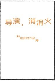导演 消消火