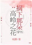 摘下那束高岭之花妙全本免费