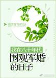 我在八十年代围观军婚的日子 作者雨落窗帘