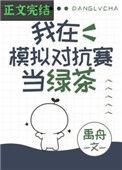我在模拟对抗赛当绿茶无弹幕
