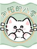 向阳的八零晋江