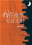 我在夜里见过太阳by顾辞微