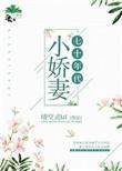 七十年代小娇妻苏晴
