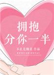 拥抱分你一半讲什么