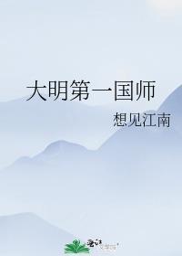 大明第一帅