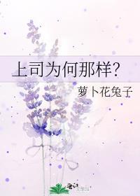 上司指什么意思