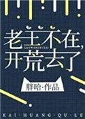 老王不在开荒去了爆了