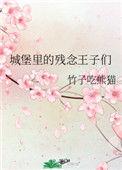 城堡里的残念王子们TXT
