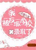 我被反派学校录取了61