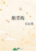 酿青梅蓝汐玥璃