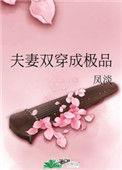 夫妻双穿书