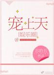 宠上天无防盗