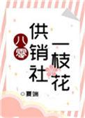 八零供销社一枝花无防盗