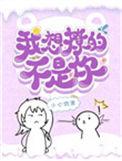 我想撩的不是你晋江