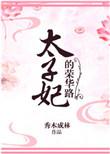 太子妃的荣华路 秀木成林讲的什么