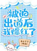 被迫出道后我爆红了txt