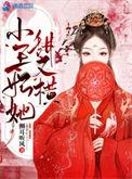 小王妃1