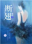 断翅玩家