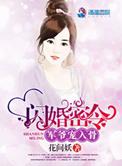 军婚闪婚合集