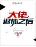 大佬退休之后全文txt