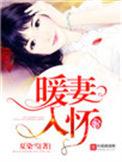 暖妻入怀言欢免费阅读笔趣阁